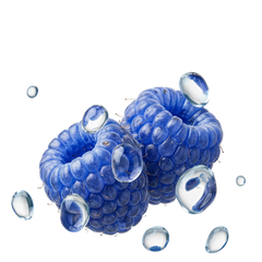 experiment1184-pdp-lite-blue-raspberry-pod-3-pcs