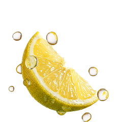 experiment1184-pdp-lite-lemon-pod-3-pcs