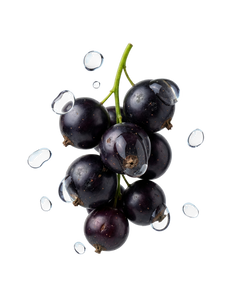 experiment1184-product-card-cassis-pod-3-pcs