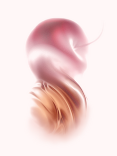 Multiple Banner - Cherry Kola